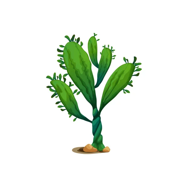 Succulent Cactus Isolated Cartoon Exotic Agave Flower Marginata Succulent Growing — Διανυσματικό Αρχείο