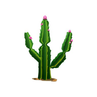 Saguaro cactus pink flowers isolated western opuntia tropical botanical plant. Vector cartoon cacti with thorns. Prickly succulent ferocactus large barrel cacti with spines grown in mexican dessert