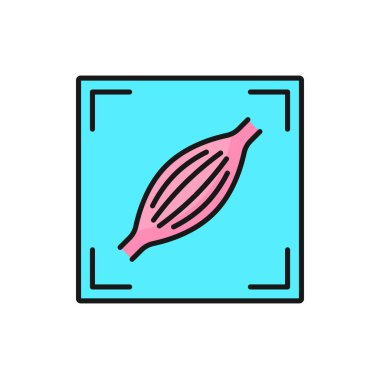 MRI diagnostics, radiology scan and CT tomography, vector color icon. Musculoskeletal MRT or MRI magnetic resonance imaging of muscles and body soft tissues for medical health diagnostics