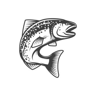 Salmon fish, fishing or food vector icon of freshwater or river fishes. Pink or humpback salmon from freshwater river for cuisine cooking food or restaurant menu and fishery market catch