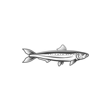 Pelagic fish, isolated mackerel monochrome icon. Vector Scombrida Short indian mackerel, fishing sport trophy, short mackerel, underwater animal seafood food. Atlantic chub Wahoo scombrid fish