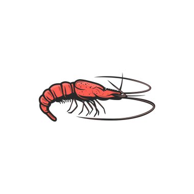 Prawn shellfish crustaceans isolated shrimp icon. Vector red shrimp appetizer snack, tiger sea shrimp, mediterranean cuisine food mascot. Seafood, underwater marine animal with long whiskers
