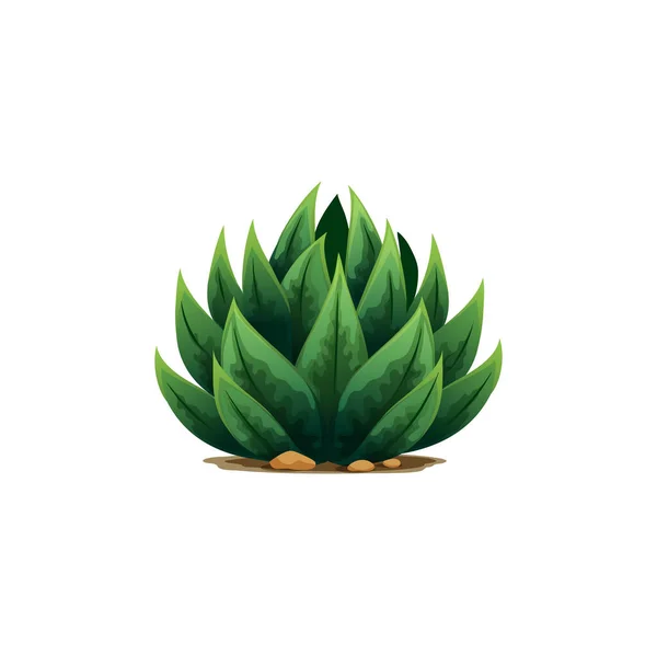 Weberi Maguey Liso Aloe Vera Botanical Plant Spikes Exotic Flower — Διανυσματικό Αρχείο