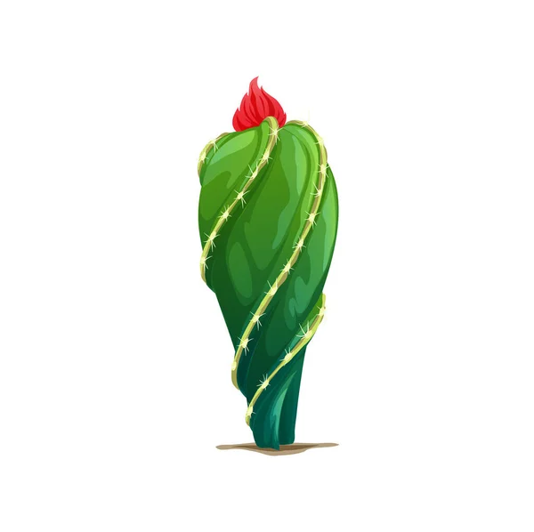 Green Mexican Desert Cactus Red Flower Top Growing Stone Rocks — Διανυσματικό Αρχείο