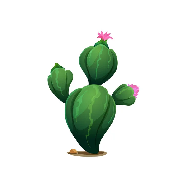Ariocarpus Prickly Growing Cactus Big Thorns Cartoon Design Element Cinco — Διανυσματικό Αρχείο