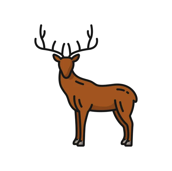 Deer Wild Animal Antlers Isolated Color Outline Icon Vector North — Wektor stockowy