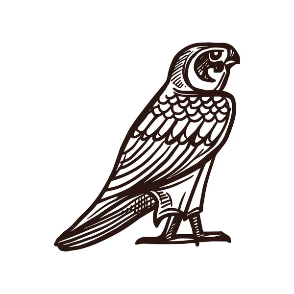 Horus Falcon Sketch Ancient Egypt Deity Mythology Bird Vector Icon — Stockový vektor