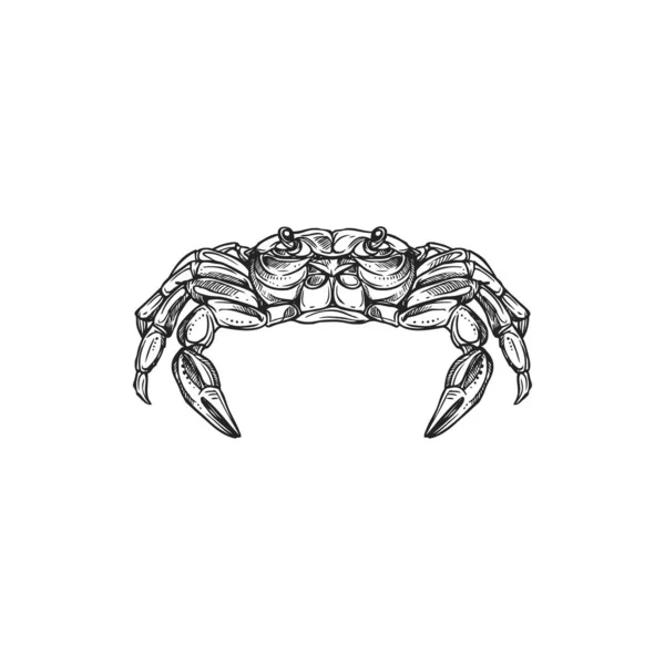 Royal Crab Isolated Marine Animal Cheiragonidae Vector Raw Fresh Seafood — Archivo Imágenes Vectoriales