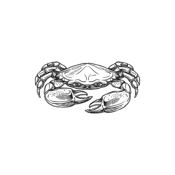 Marine Crab Animal Pair Pincers Isolated Monochrome Icon Vector Seafood — Stock Vector