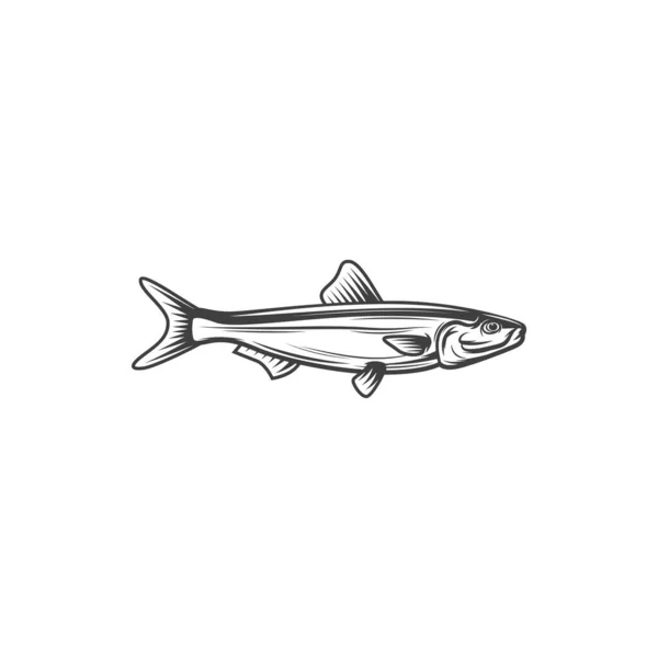Anchovy Sprat Fish Fishing Food Vector Line Icon Ocean Fish — Stockový vektor