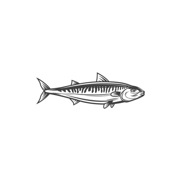 Mackerel Fish Scomber Fishing Food Vector Line Icon Ocean Fish — Vettoriale Stock