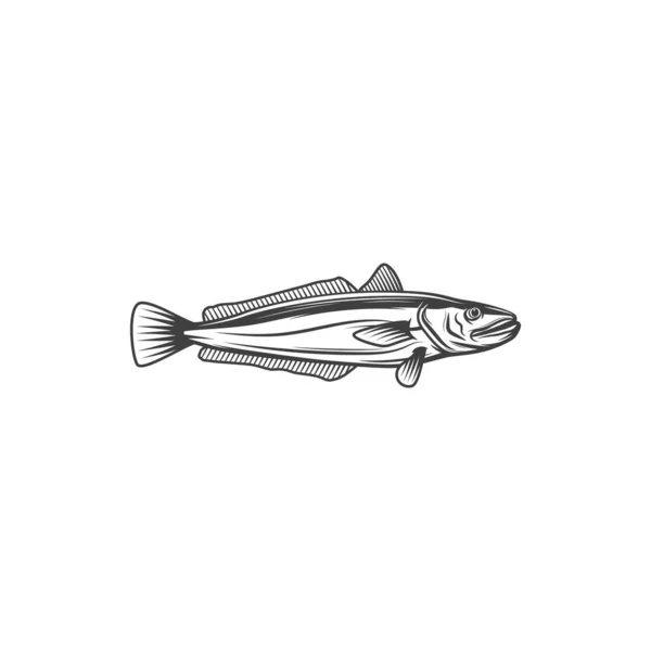 Hake Cod Fish Isolated Monochrome Icon Vector Psychidae Atlantic Ocean — Vettoriale Stock