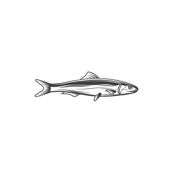 Herring Sardine Saltwater Fish Isolated Animal Monochrome Icon Vector Pilchard — Vector de stock