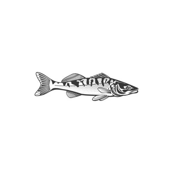 Mackerel Fish Vector Icon Saltwater Creature Fish Species Monochrome Sign — Stockový vektor