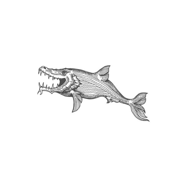 Marine Beast Cetus Sketch Animal Isolated Aquatic Creature Vector Huge — Stock vektor