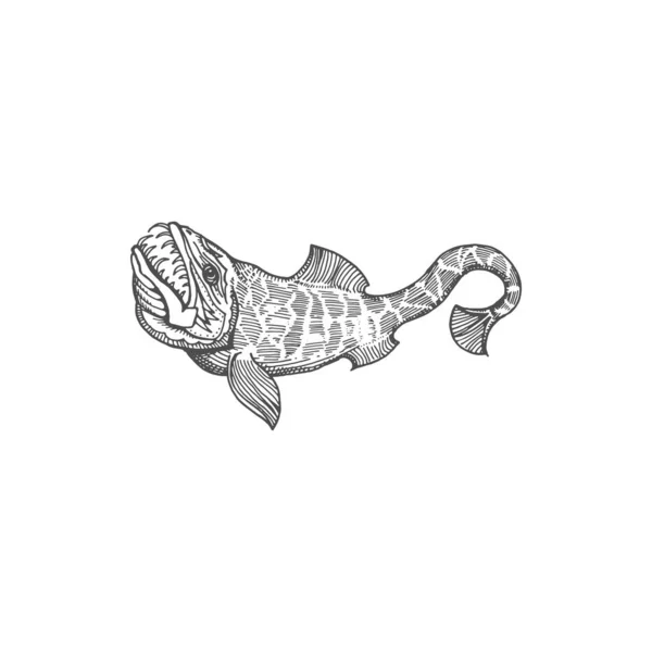 Lyngbakr Hafgufa Underwater Beast Fish Jaws Isolated Monochrome Sketch Icon — 스톡 벡터