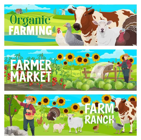 Organic Farm Market Farm Animals Cattle Orchard Vegetables Vector Banners — Stock vektor
