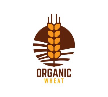 Pastane amblemi. Buğday, yulaf, arpa, darı gevreği. Organik buğday çiftliği vektör sembolü. Tarım, tarım şirketi ve gıda mağazası ikonu, fırın ya da pastane levhası buğday, çavdar ekmeği
