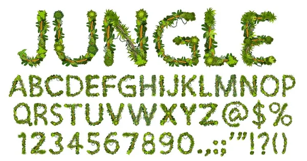 漫画ジャングルリアナフォント タイプアルファベット ベクトルAbc大文字 句読点記号 緑のヤシの木の葉や枝の英語またはラテン語のシンボル 分離型セット — ストックベクタ