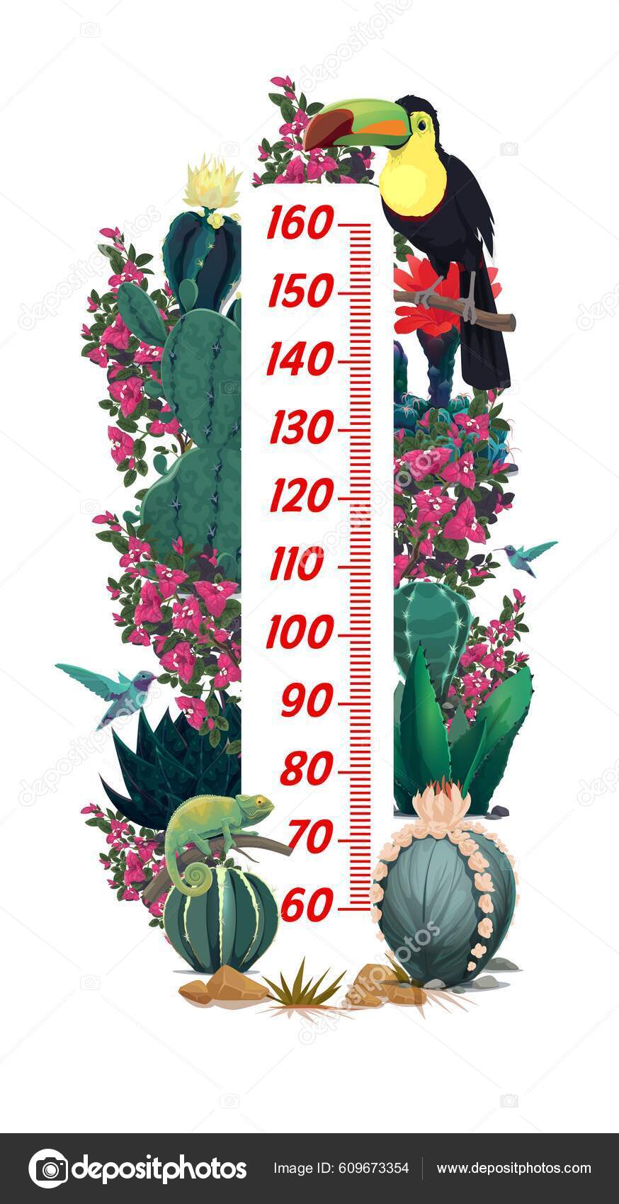 Gráfico Altura Crianças Com Tucano Mexicano Flores Cactos Medidor  Crescimento Vetor de ©VectorTradition 609673354, image size:874x1700