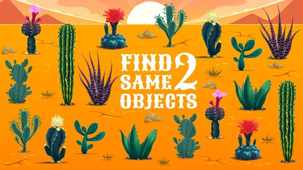Zoek Twee Dezelfde Mexicaanse Cactus Sappige Planten Kinderen Doolhof Spel — Stockvector