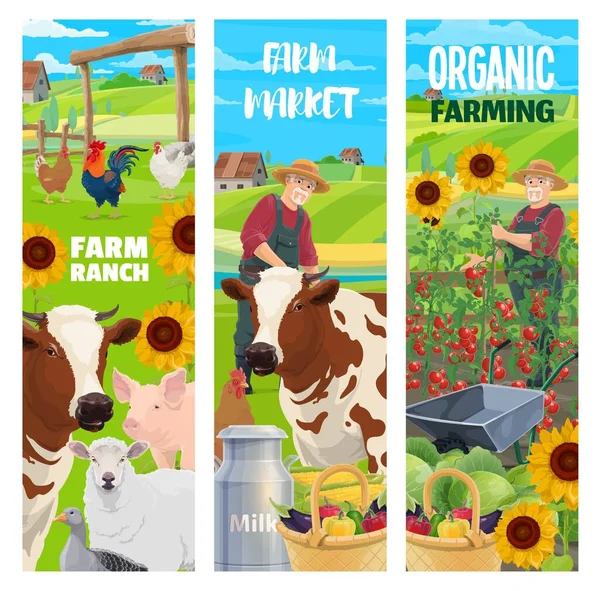 Farm Animals Farmer Field Agriculture Vertical Backgrounds Vector Banners Senior — Stock Vector