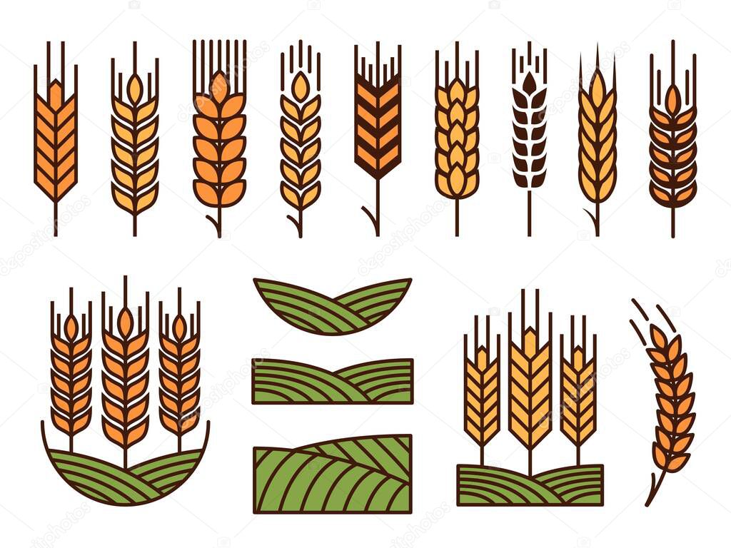 Cereal ear spike icons of wheat barley, rye millet and rice, vector agriculture farm arable field. Organic cereal food and bio farm grain product emblems with green field for bakery bread or flour