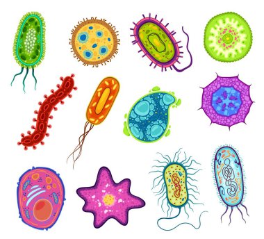 Protozoa, protista ve amip mikroorganizma hücreleri, vektör mikro organizma. Ameba ve protist tek hücreli hücreler laboratuvar mikroskobunda, protozoan ökaryotik organizma türleri