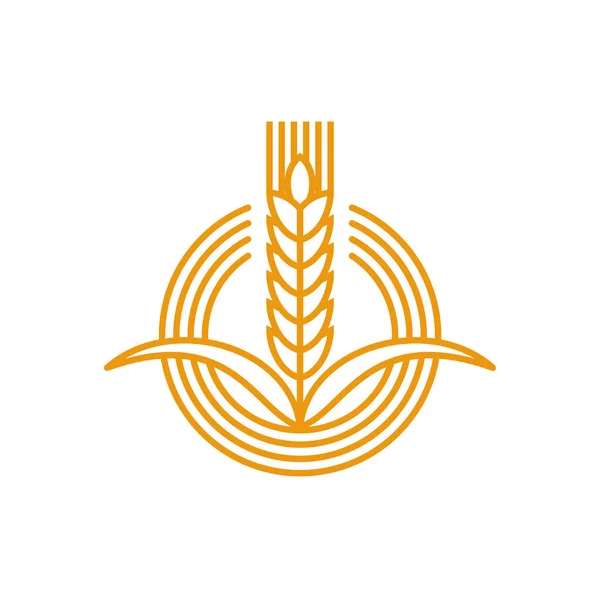 农业图标 小麦穗或黑麦和稻穗 病媒农产品符号 有机烘焙面包 面粉或谷类食品 意大利面 谷物和小米 黑麦或燕麦和大麦穗的象征 — 图库矢量图片