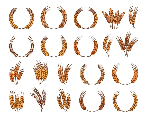 月桂樹の花輪 シリアル小麦の耳とスパイク 有機農産物ベクトルのエンブレム ベーカリー パン粉またはシリアル食品や農場有機製品のための小麦 ライ麦やオート麦のスパイクのローレル花輪 — ストックベクタ