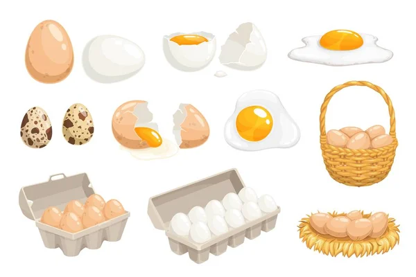 卡通蛋在篮子 巢和盒子 鸡和鹌鹑蛋 鸡窝中的蛋 柳条筐或纸盒中的蛋 煮熟的煎蛋卷 家禽农场食品 — 图库矢量图片