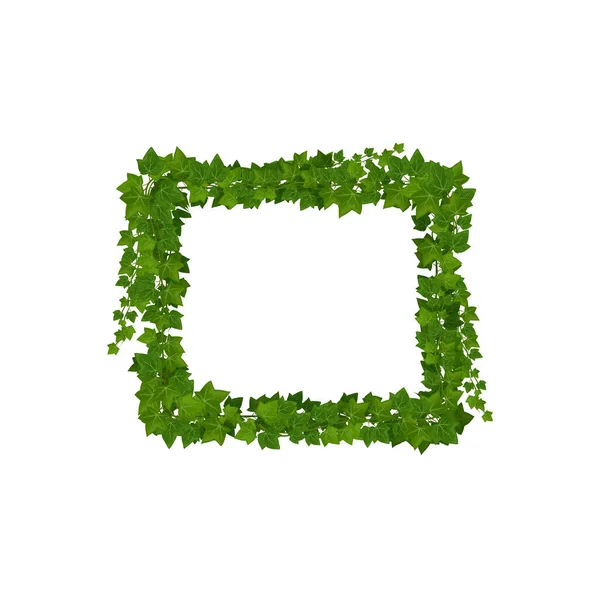 Ivy Зеленые Листья Джунгли Лианы Квадратной Рамкой Прямоугольная Рама Листьев — стоковый вектор