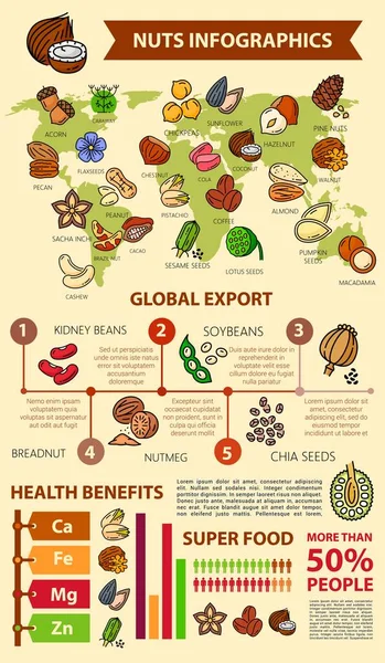 Nuts and seeds infographics, beans and natural food healthy benefits information, vector diagrams. Nuts and seeds infographics of world import or export, superfood consumption and eating statistics — Stock Illustration Nuts Seeds Infographics Beans Natural Food Healthy Benefits Information Vector Stock Illustration