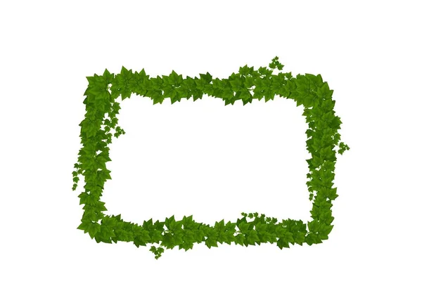 Айви Зеленые Листья Лианы Рамка Восхождение Границы Растений Природная Листва — стоковый вектор