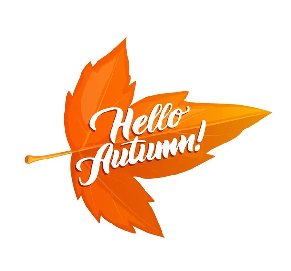 こんにちは紅葉と秋のポスター 感謝祭の休日のステッカーやベクトルバナー 10月の祭りの挨拶 招待状またはオレンジ色のカエデの葉と秋の季節のチラシ — ストックベクタ