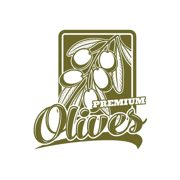 Оливки Премиум Класса Этикетка Масла Икона Ветка Векторного Оливкового Дерева — стоковый вектор