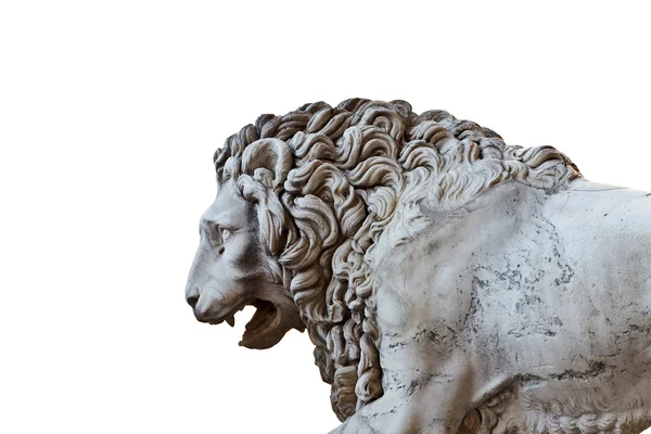 Llion in de buurt van palazzo vecchio — Stockfoto