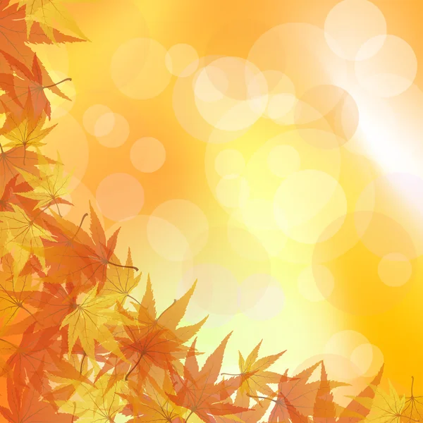 Autumn background — Stock Vector