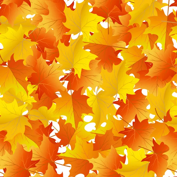 Maples leaves seamless — Stock Vector