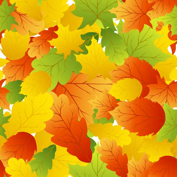 Varrat nélküli Maples levelek — Stock Vector