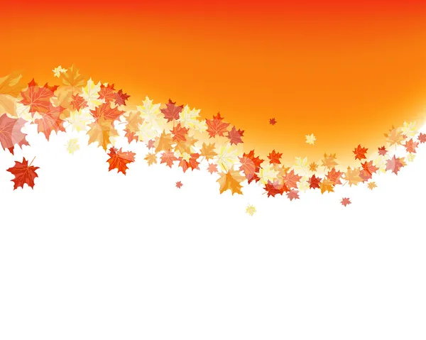 Épinards d'automne — Image vectorielle
