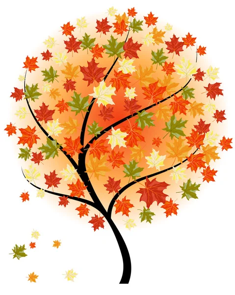 Autumn maples — Stock Vector