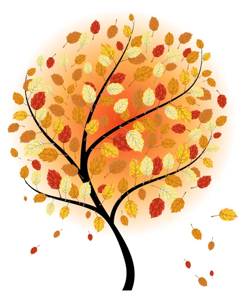 Autumn maples — Stock Vector