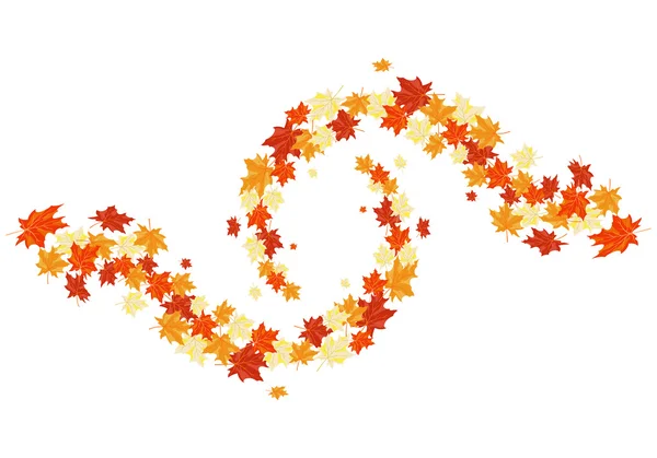 Herfst maples — Stockvector