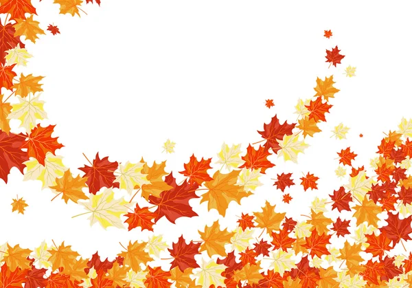 Herfst maples — Stockvector