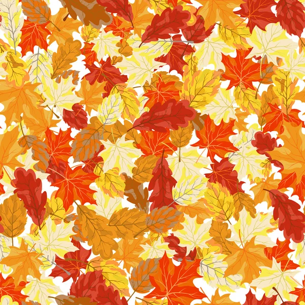 Maples folhas sem costura —  Vetores de Stock