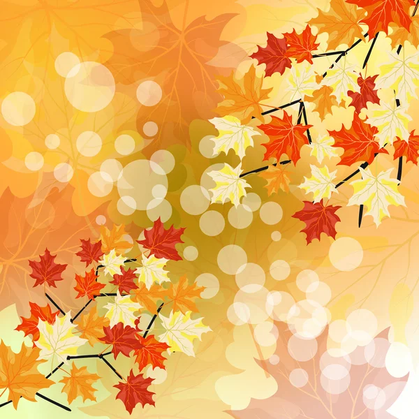 Herfst maples — Stockvector