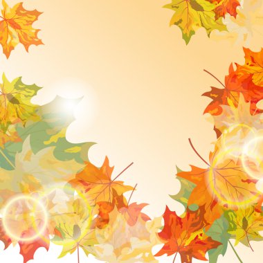 Sonbaharda akçaağaç