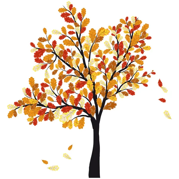Épinards d'automne — Image vectorielle