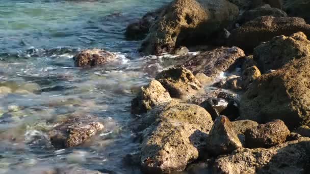 Aegean sea shore — Stock Video